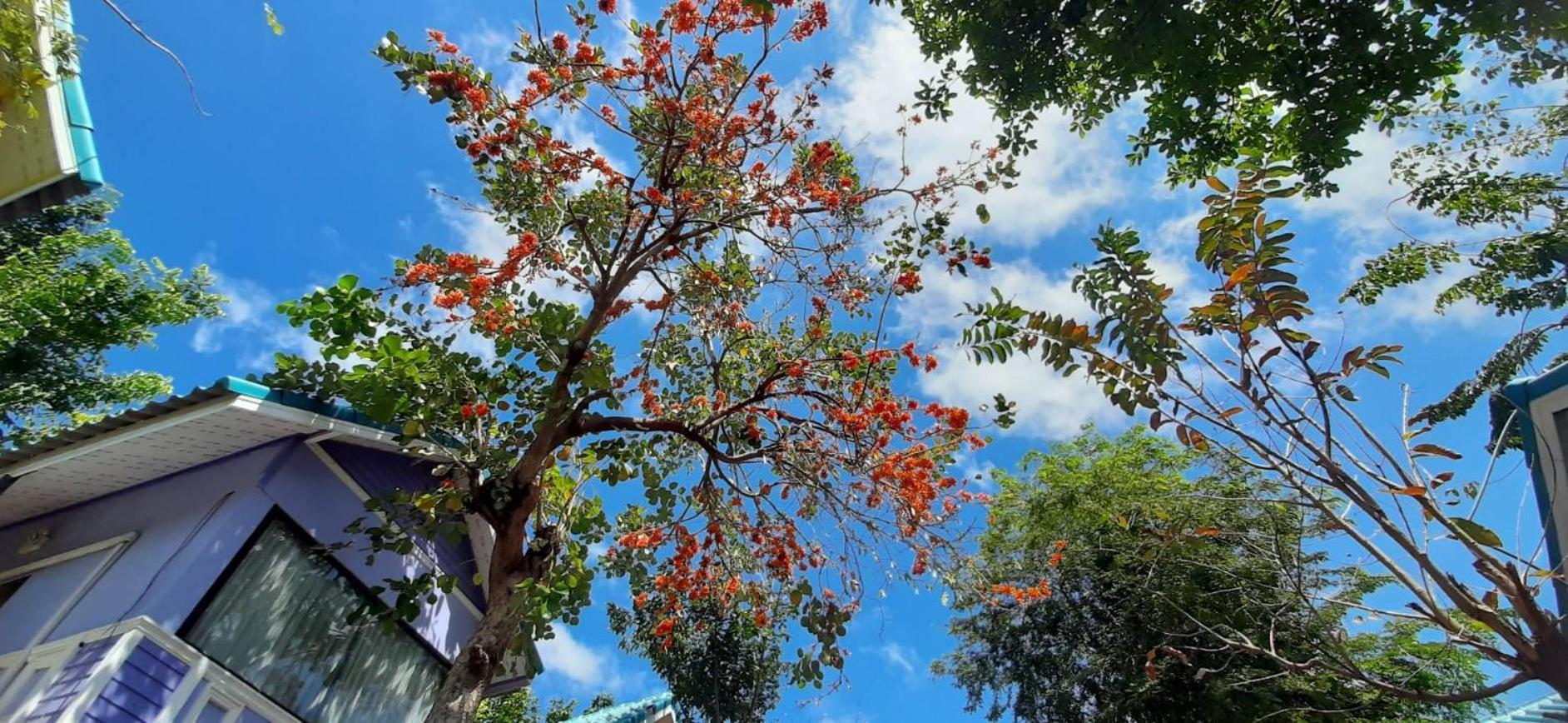 Rak Kun Resort 2 Nakhon Sawan Eksteriør billede